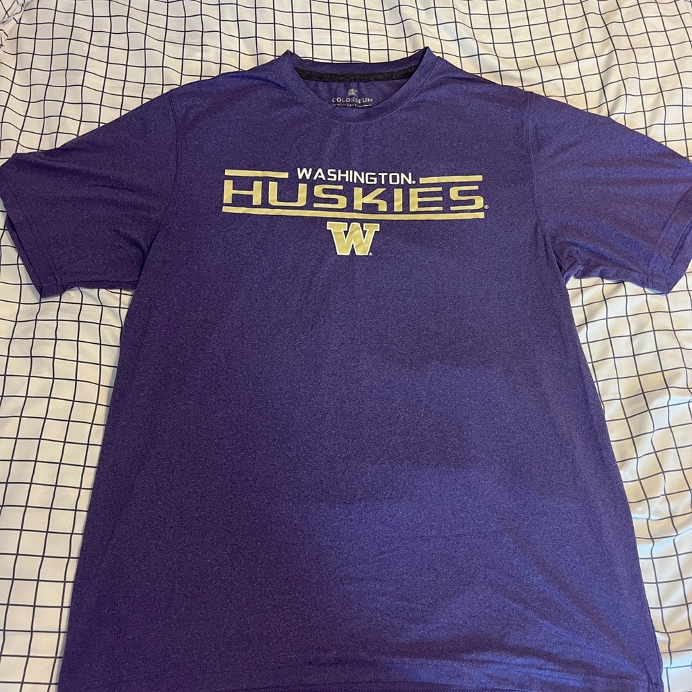 Washington Huskies Colosseum Dri-Fit T-Shirt